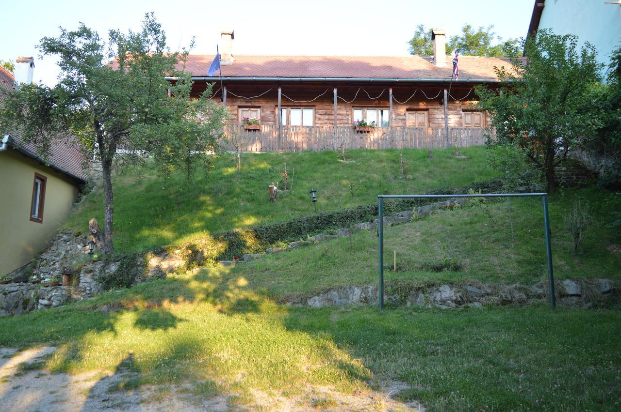 Pensiunea Morariu Sălişte Buitenkant foto
