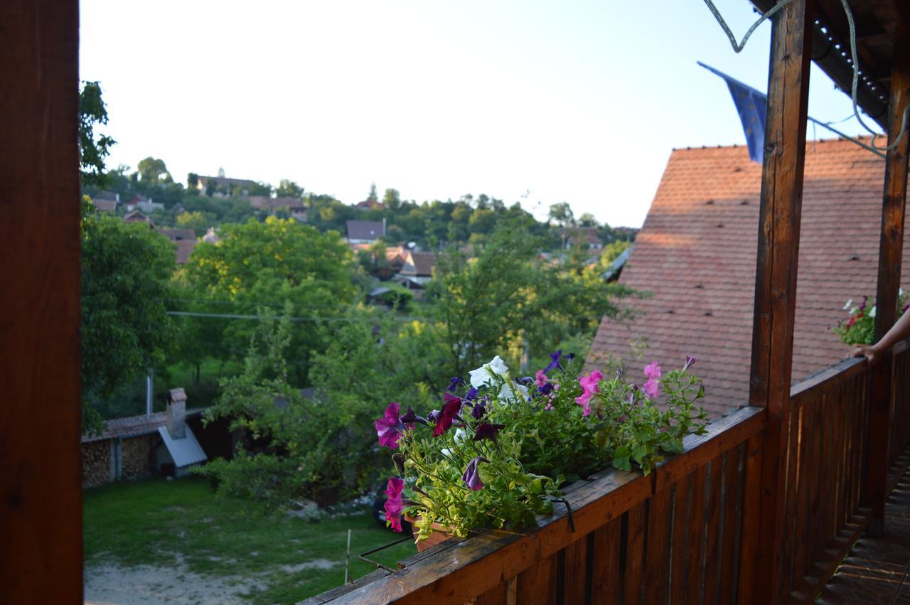 Pensiunea Morariu Sălişte Buitenkant foto