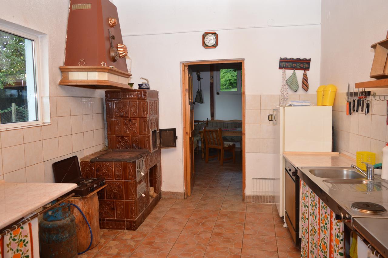 Pensiunea Morariu Sălişte Buitenkant foto