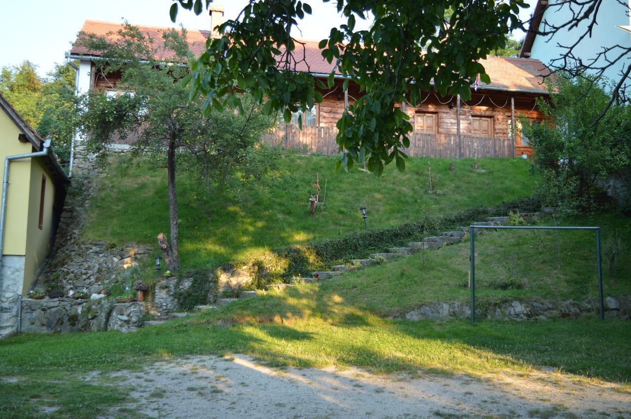 Pensiunea Morariu Sălişte Buitenkant foto